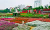 Nhat Tan tourist area