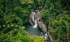 Thác Đỏ Suối Chùn