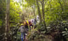 Chu Nam mountain peak
