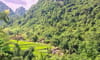 Làng hương Phja Thắp