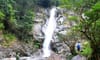 Vu Quang National Park