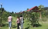 Yasmin Farm