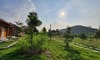 Yasmin Farm