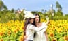 Cánh đồng hoa hướng dương An Phú