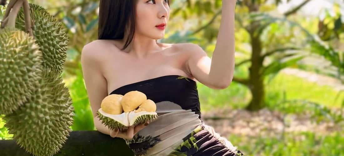 维他命村的一个特别亮点是这里的榴莲是有机种植的。