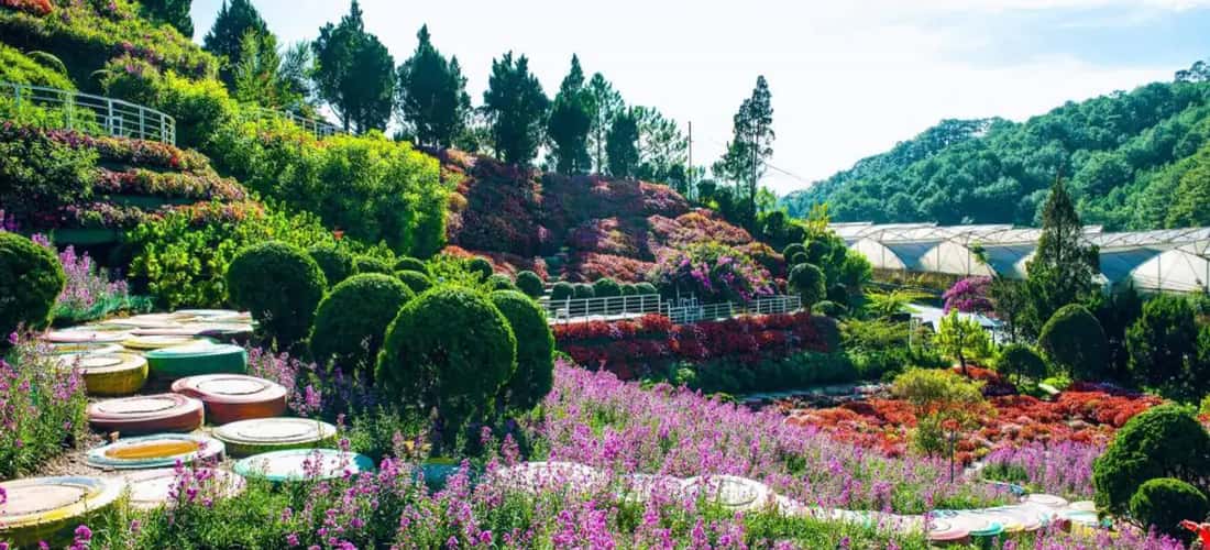 Quê Garden - “Tiểu Nhật Bản” giữa lòng Đà Lạt