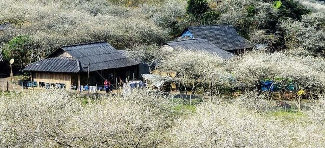 Thung Cuông đem đến sự yên bình của Tây Bắc