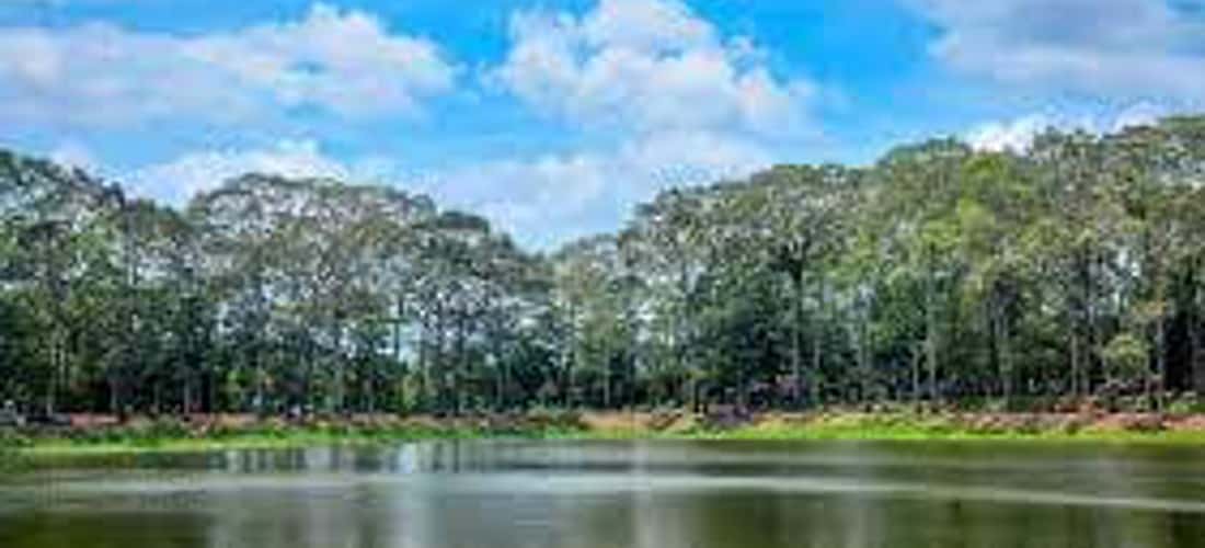 Ao Bà Om thắng cảnh độc đáo của đất Trà Vinh
