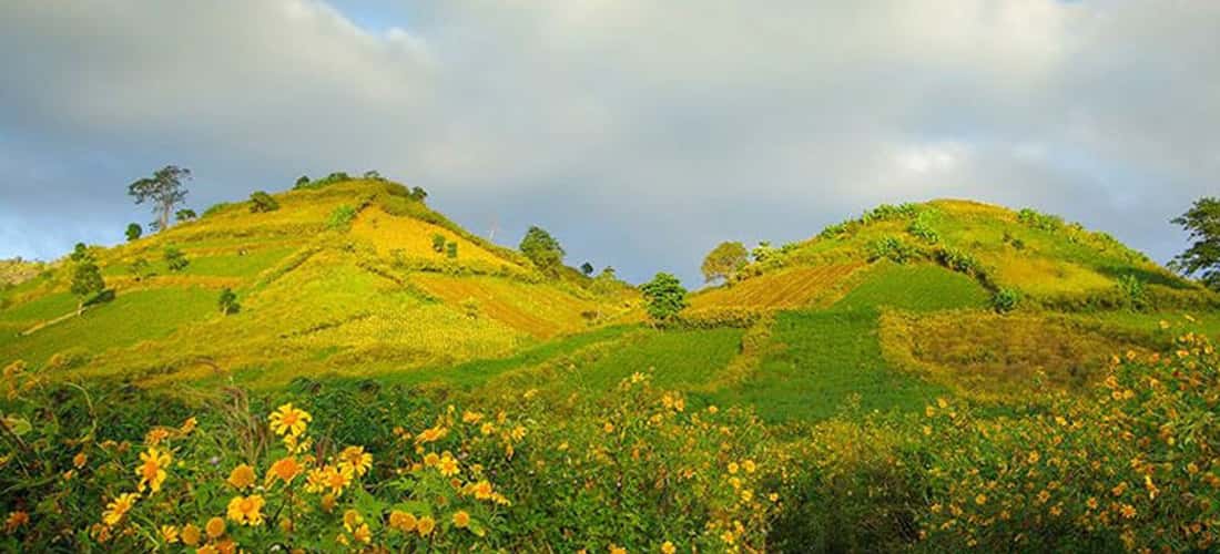 중앙 고원의 광활한 산과 숲 가운데 추당야(Chu Dang Ya) 화산은 거꾸로 뒤집힌 거대한 그릇처럼 보입니다.