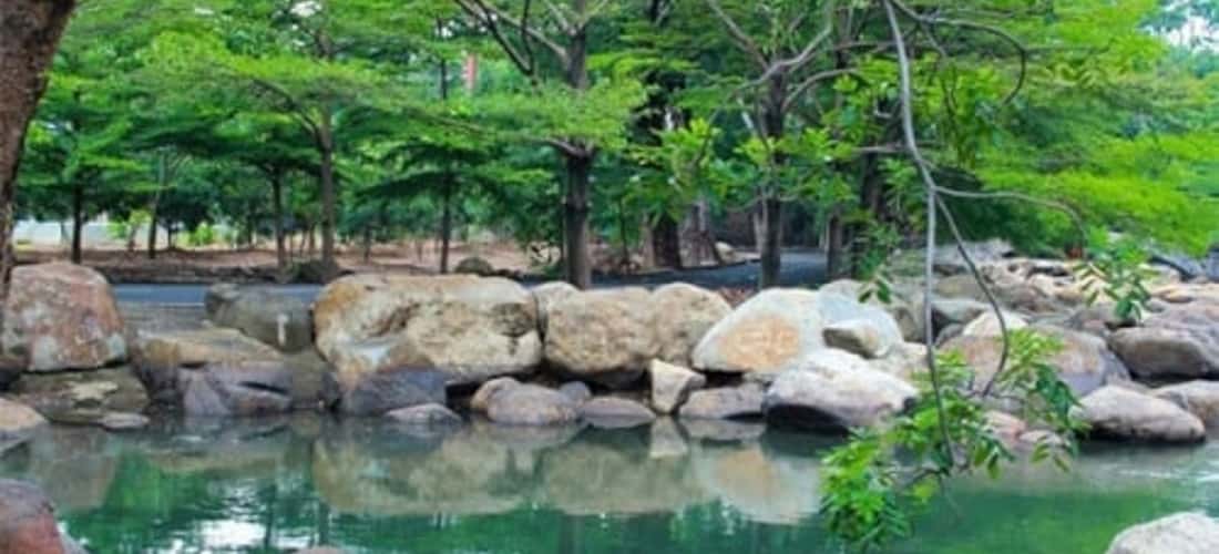 Khu du lịch Thủy Châu - Điểm chơi lý tưởng gần Sài Gòn