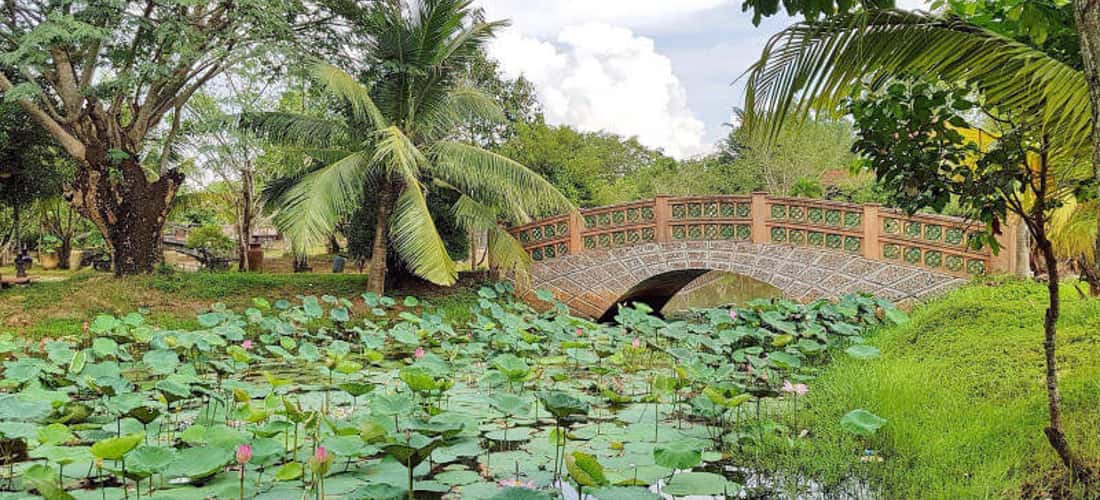 Đầm sen tuyệt đẹp bên trong khuôn viên cũng là điểm nhấn ở Làng cổ Phước Lộc Thọ