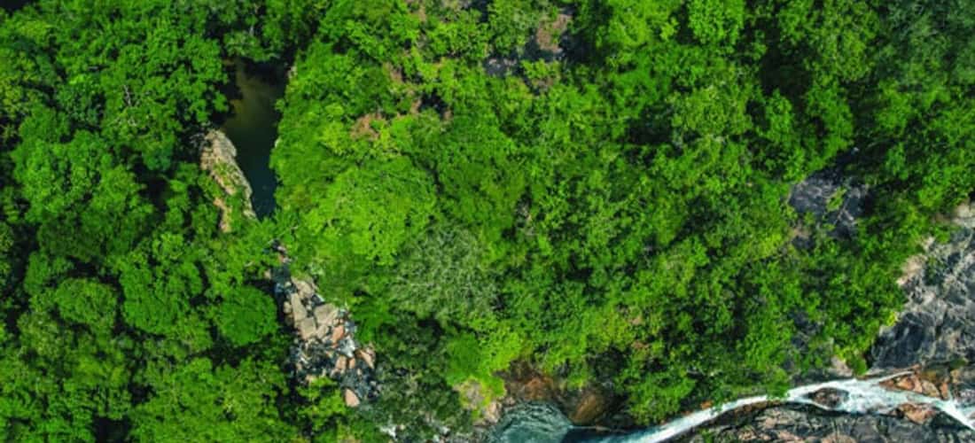 Khung cảnh nguyên sơ hoang dại của khu tham quan.