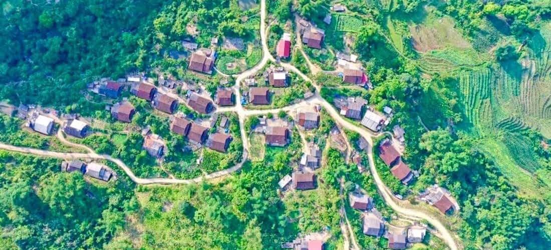 Vẻ đẹp của rừng trúc Pù Lầu từ trên cao