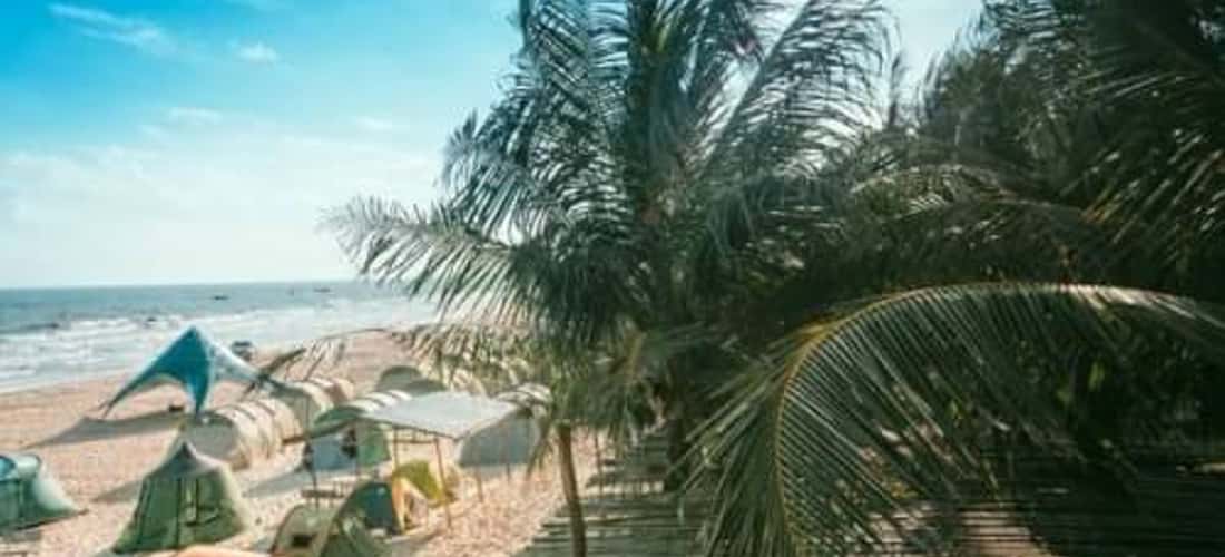 Khu cắm trại ở Coco Beach Camp đẹp như mơ