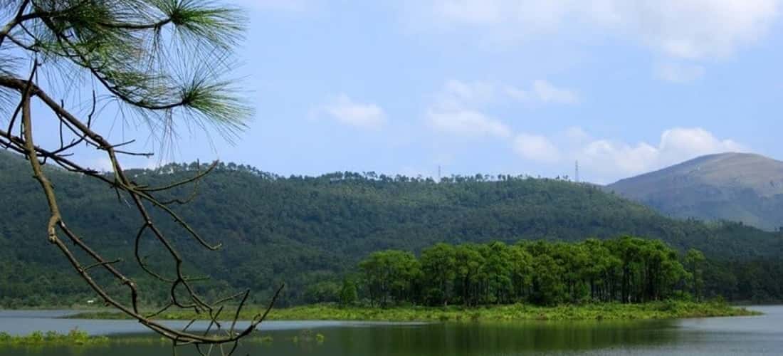 Khung cảnh thơ mộng với rừng thông xanh bên hồ Yên Trung mang đậm chất thơ