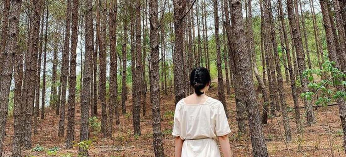 여름은 Kon Ka Kinh으로 피크닉을 떠나기에 이상적인 시기입니다.