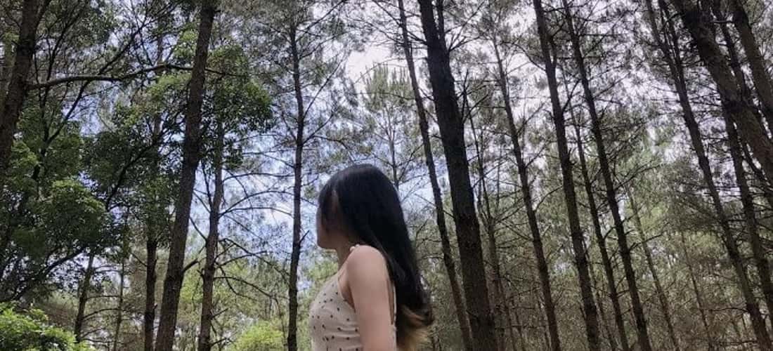 这片森林是许多年轻人最喜欢的野餐地点。