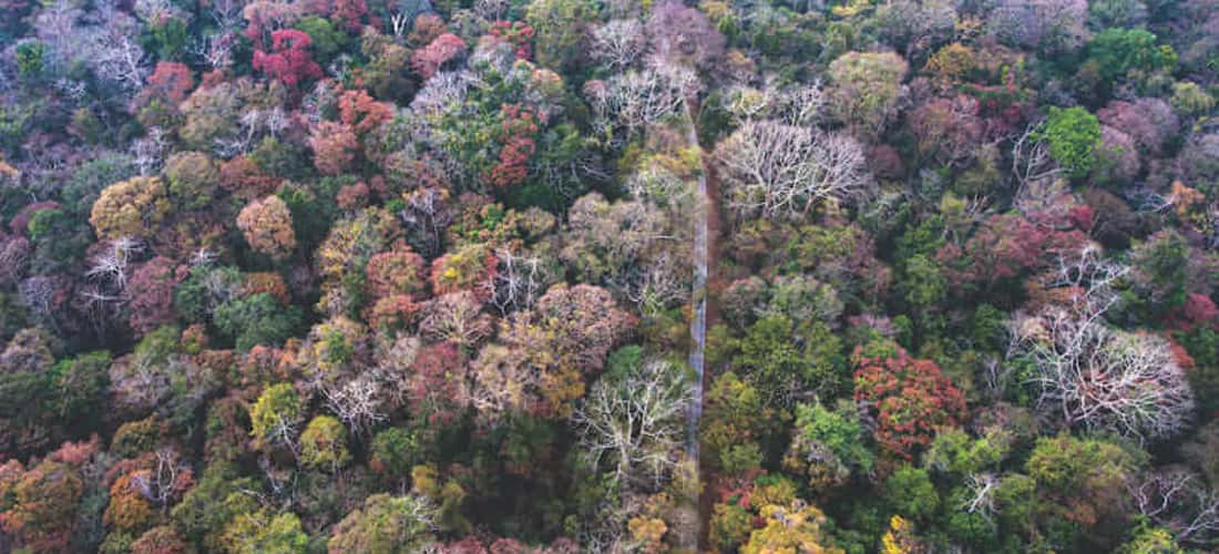 Hiện nay đây là một trong những vườn quốc gia quy mô lớn nhất tại Việt Nam và được UNESCO công nhận.