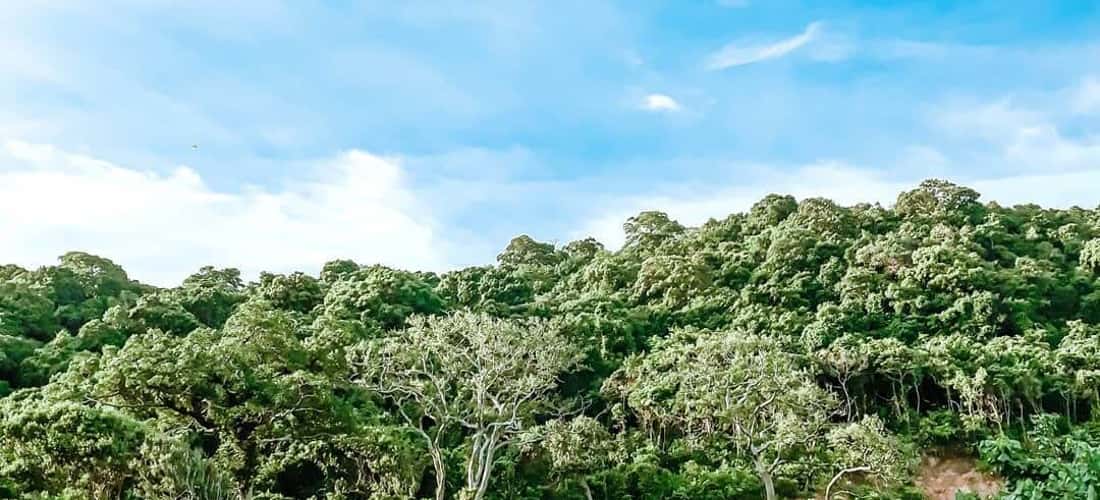 细腻的白色沙滩、迷人的珊瑚礁或穿过原始森林的道路、悬崖峭壁......从踏上Tho Chu的那一刻起，就会让任何人着迷。
