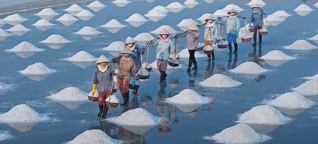 Dam Vua盐田距离Phan Rang Thap Cham市中心约10公里