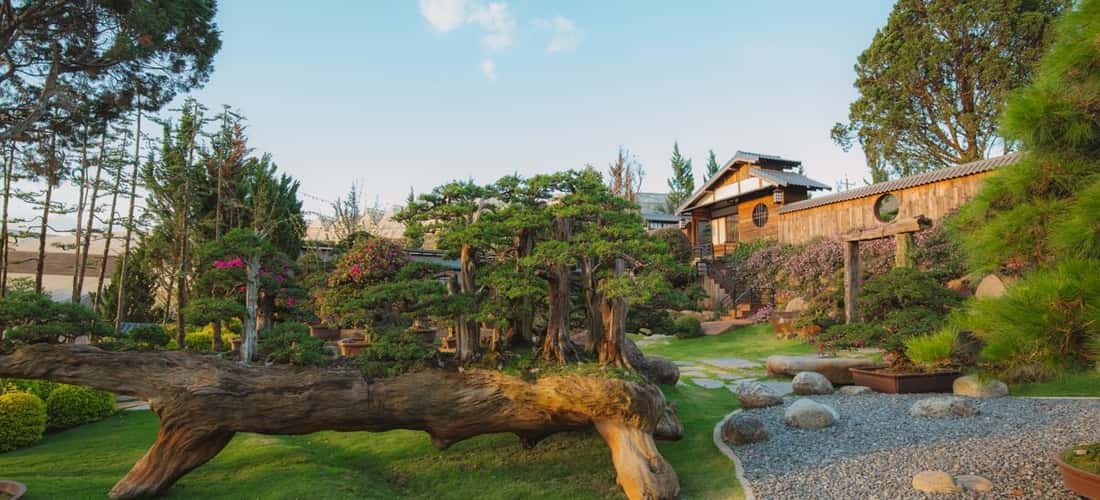 일본식 디자인을 갖춘 Que Garden은 감탄과 감탄을 자아낼 새로운 건축 경험을 선사합니다.