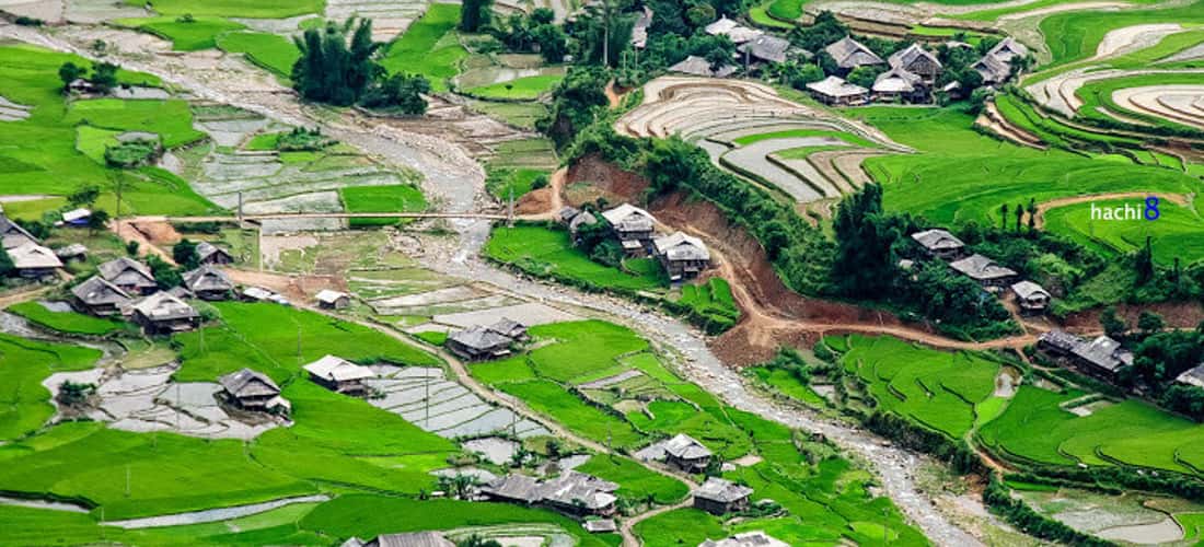 Ghé thăm bản Lìm Mông giữa lưng chừng trời