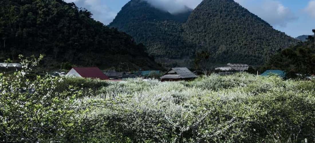 场景美如画