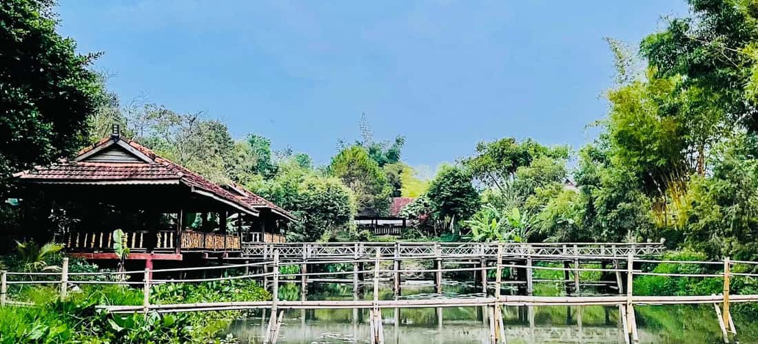 Tuy chỉ có diện tích khoảng 13 ha, nhưng Khu du lịch KoTam lại mang trong mình vô số các loại hoa đầy màu sắc và hương thơm.