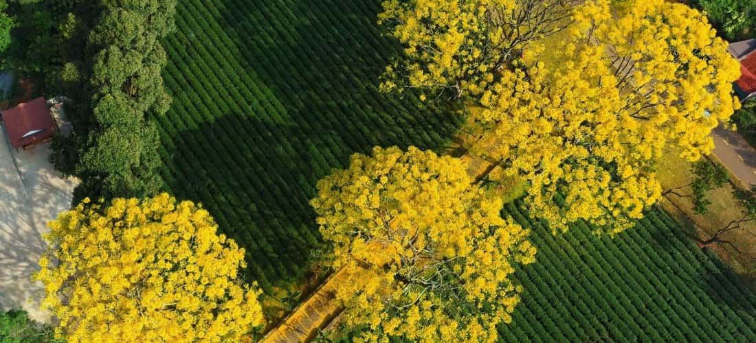 Tọa lạc ngay giữa khung cảnh núi non hùng vĩ, sở hữu kiến trúc cổ kính uy nghiêm cùng không gian thanh tịnh yên ả - Tu viện Bát Nhã từ lâu đã trở thành điểm đến nổi tiếng cho nhiều du khách