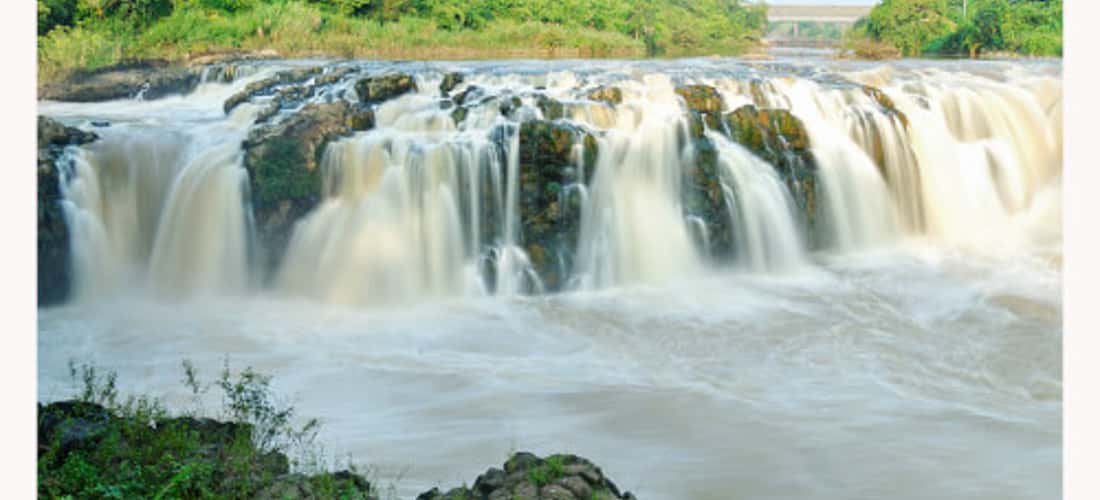 Vẻ đẹp hoang sơ của thác Gia Long vào buổi sáng