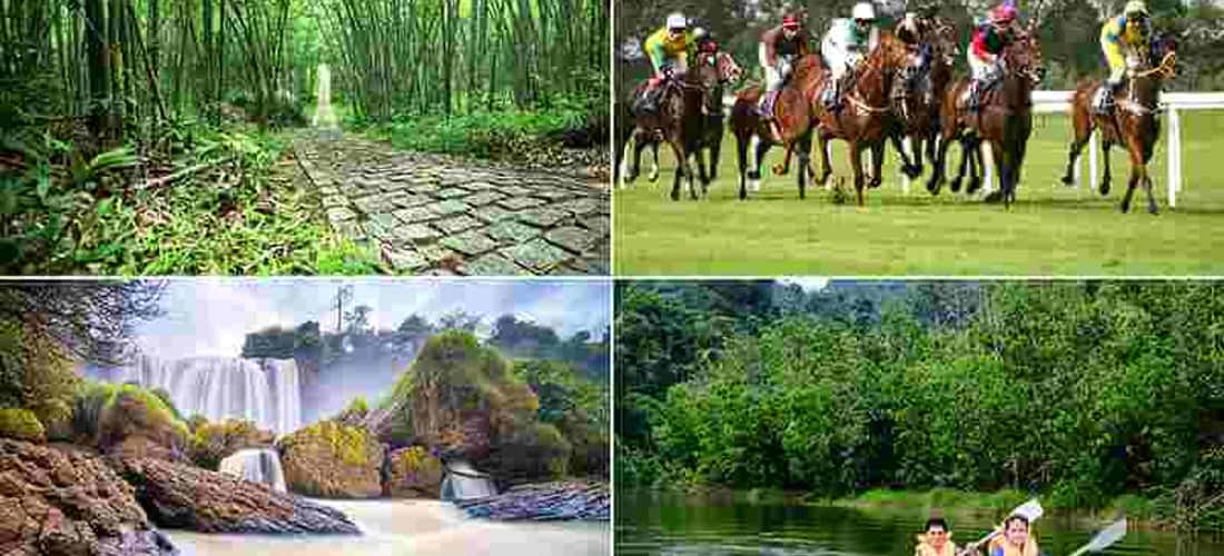 Với vẻ đẹp bình yên và thuần khiết thế này thì khu du lịch sinh thái Madagui xứng đáng trở thành nơi nghỉ dưỡng thiên nhiên năm sao.