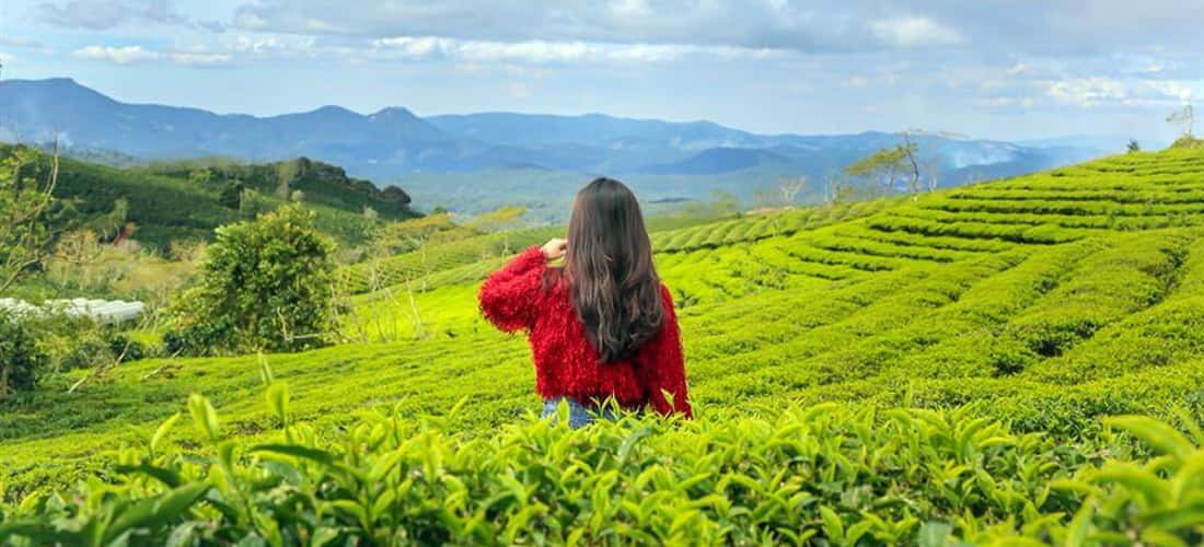 Không chỉ nổi tiếng với những cánh đồng chè xanh bát ngát, nơi đây còn mang đến cho bạn nhiều trải nghiệm có 1-0-2 với những hoạt động thú vị như săn mây, check-in cafe, thưởng thức ẩm thực…