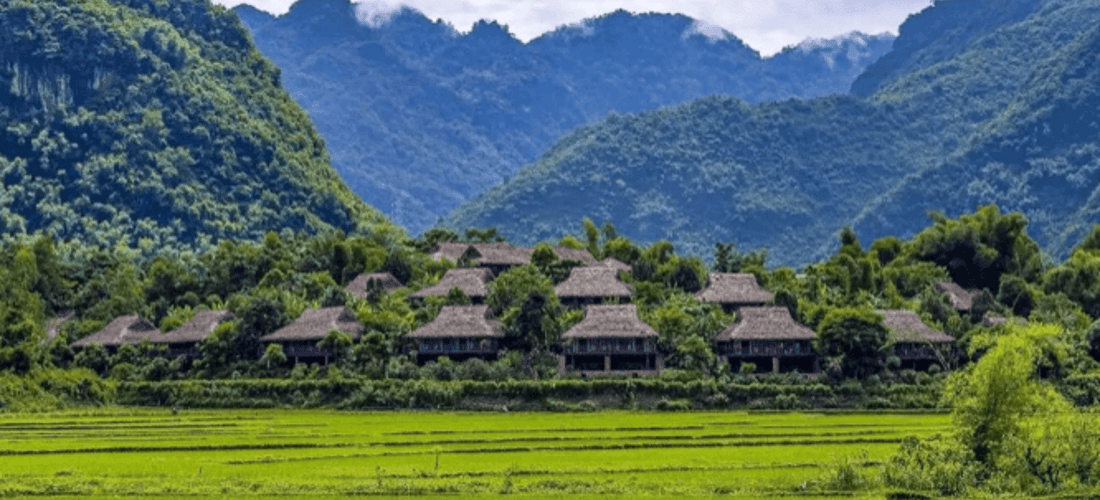 Lac Mai Chau 村坐落在山林之中，乡村美丽。
