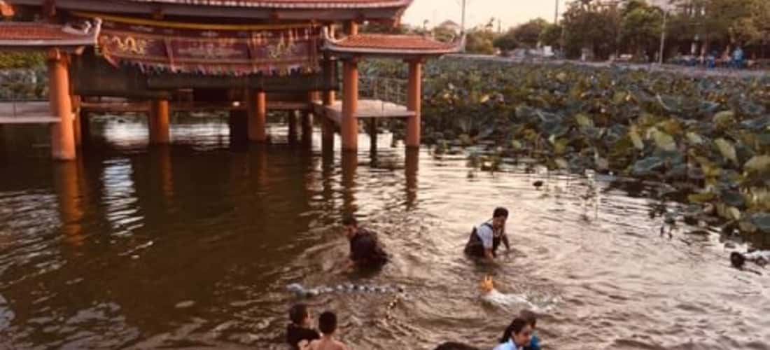 Thanh Ha Water Puppet Village - Hai Duong의 독특한 목적지