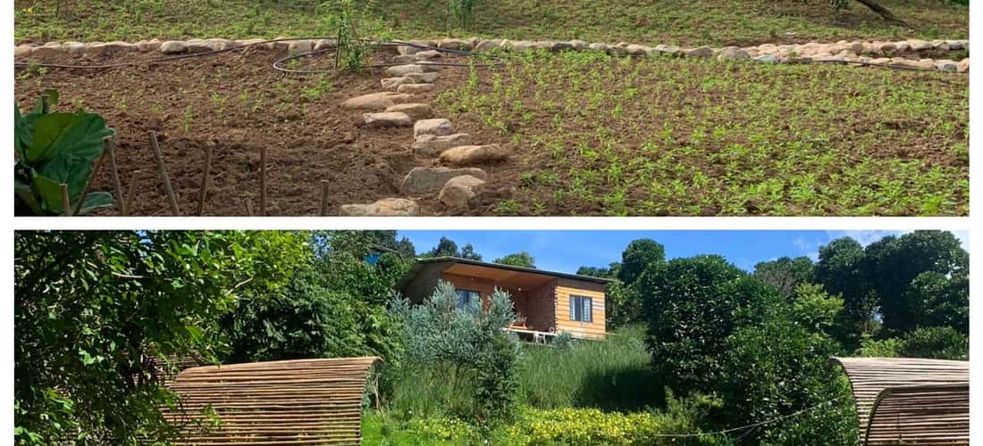 Bungalow 5 Seasons坐落在一座占地约2公顷的小山上，周围环绕着一望无际的咖啡田。