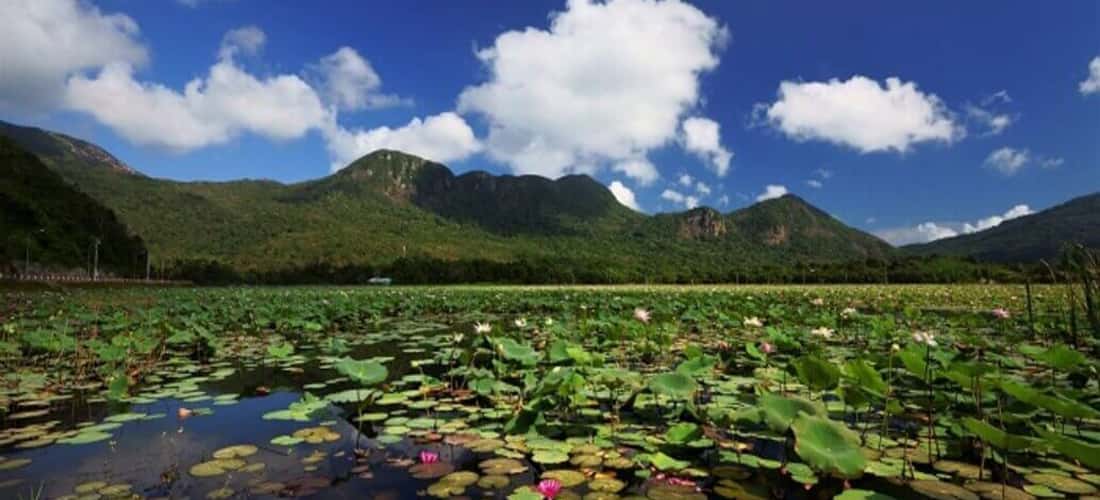 探索昆岛森安湖