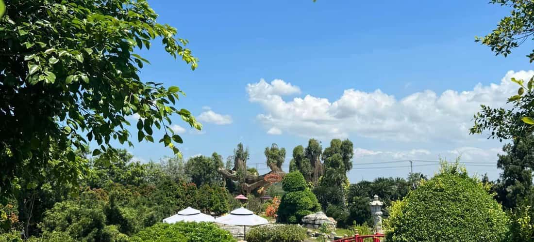 Với diện tích siêu rộng cùng không gian gần gũi với thiên nhiên, chắc chắn bạn sẽ thấy choáng ngợp và bất ngờ trong lần đầu đặt chân đến sở thú Mỹ Quỳnh