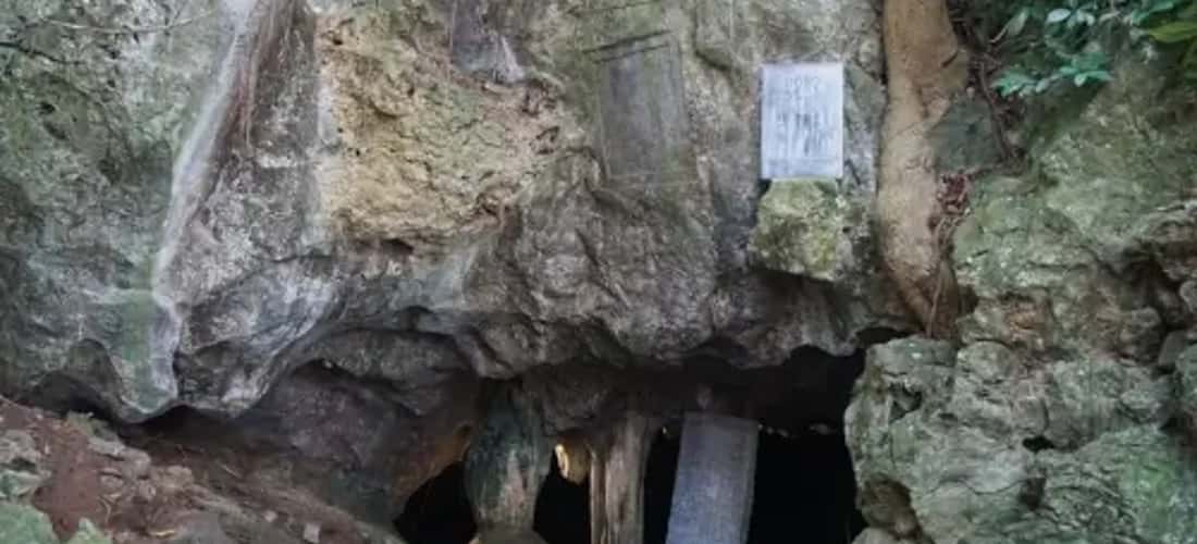 Ngắm cây võng tiên hàng trăm năm tuổi trước cửa động Từ Thức
