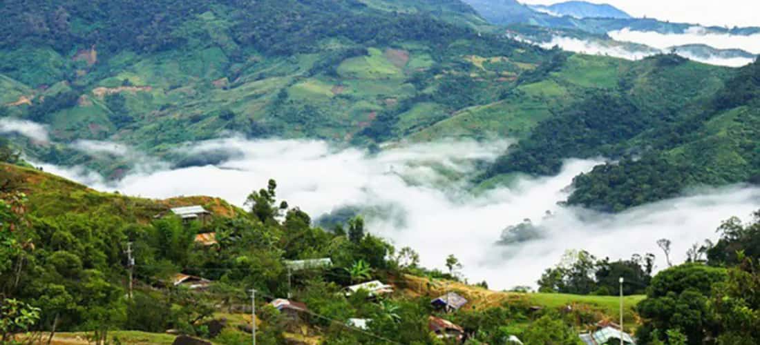 Hệ thống mảng rừng nguyên sinh và hệ động thực vật ở đây khá phong phú và đang được bảo tồn khá nguyên vẹn.