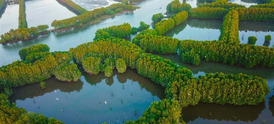 Cồn đất ôm ấp hương vị thiên nhiên và giữ gìn nền văn hóa “sạch”, do đó thỏa mãn những đôi chân mỏi mệt muốn tìm về cuộc sống bình dị, an yên.
