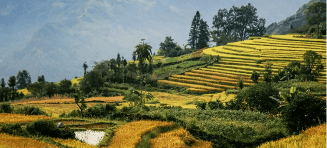 Bức tranh thiên nhiên đẹp nao lòng