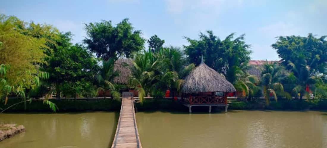 Vẻ đẹp của vườn sinh thái Xẻo Nhum