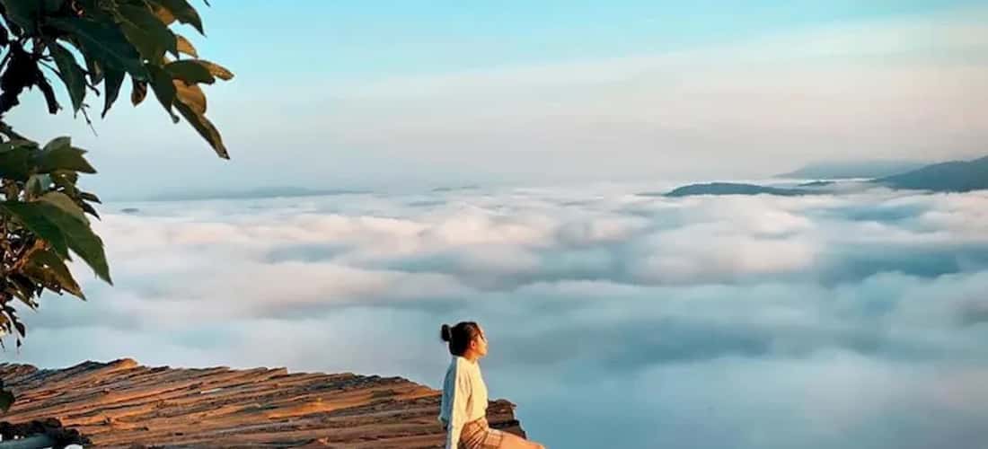 Bên cạnh những thửa chè xanh ngát, đồi chè còn có những quán cafe độc đáo, vườn hồng vàng ươm đẹp mắt hay các điểm check-in siêu hot.