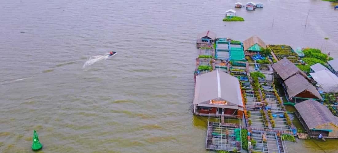 Cồn Sơn được mệnh danh là "hòn ngọc xanh" xứ Tây Đô