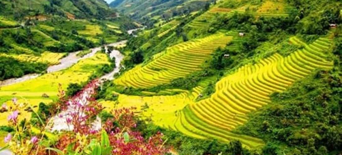 Thung lũng Mường Hoa - Góc nhìn trên cao