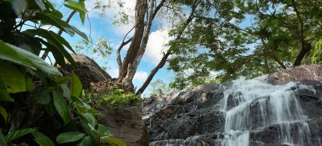 Suoi Nuoc Mat 有着清凉的溪流、绿色的森林和清新的空气,宁静而凉爽。