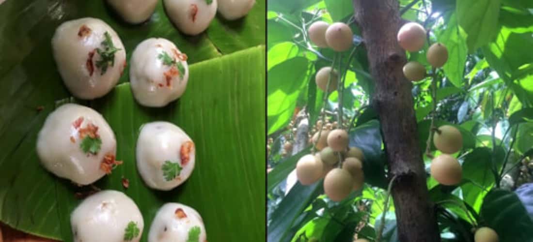 Vườn trái cây 9 Hồng mùa dâu da chín