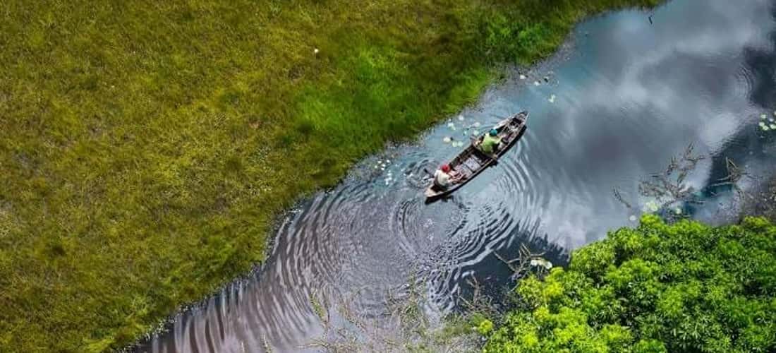 Tham gia chuyến đi trên sông Vàm Cỏ Đông, bạn sẽ thả mình vào vẻ đẹp bình yên và hoang sơ của thiên nhiên biên giới. Bạn có cơ hội ngắm hoa rừng và chim muông bên bờ sông trong suốt chuyến đi dài 20km này.