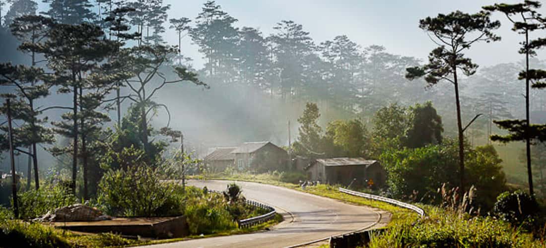 비두 국립공원(Bidoup National Park) 산 정상으로 이어지는 길 - 바산 람동(Ba Mountain Lam Dong)