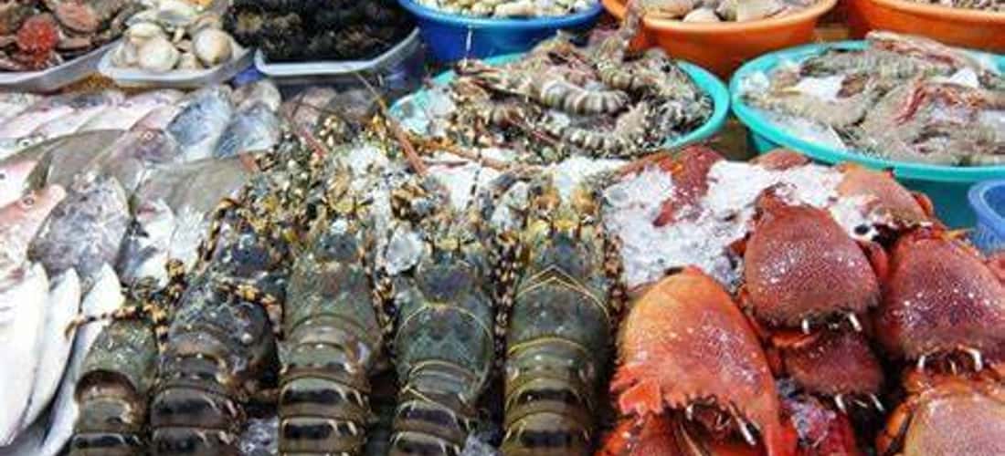 Chợ hải sản tươi ngon ở Sầm Sơn